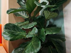 -木及咖啡One plus More coffee