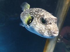 -苏州海洋馆