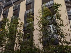 -上海崇明金茂凯悦酒店