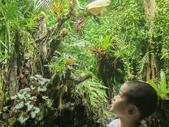 -太平洋海底世界