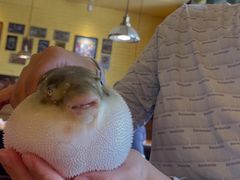 -永安鱼庄·镇江菜(丁卯店)