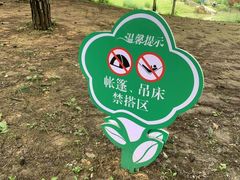 -铁山坪森林公园