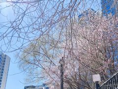 -煮叶(悠唐广场店)