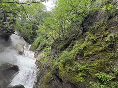 -牛背梁国家森林公园