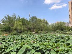 -南翠屏公园