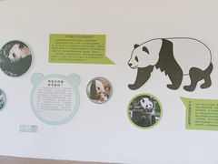 -宁波野生动物园