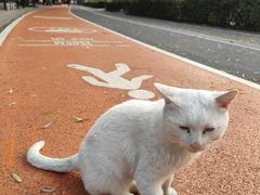 -长春市南湖公园