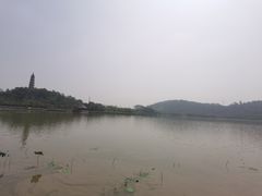 -顺峰山公园