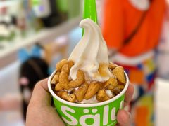 -Salud撒露欧洲冻酸奶(五道口购物中心店)