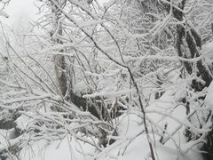 -九峰山