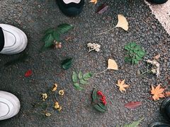 -山王坪喀斯特国家生态公园