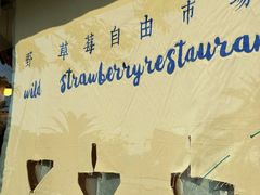 -野草莓自由市场