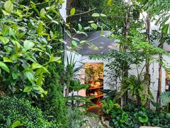 -自由生长植物工作室(深港花卉中心店)