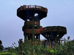 -芒洲湿地公园