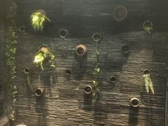 -一只烧鸡公(解放碑店)