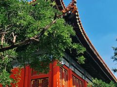 -北京国子监胡同