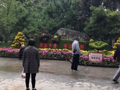 -莲湖公园