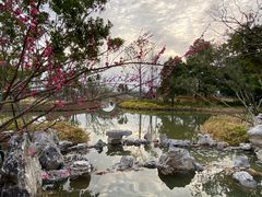 -江心屿景区