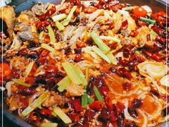 -老板恋上鱼(恒隆广场店)