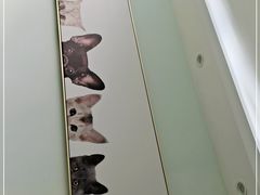 -瑞鹏宠物医院·内科·中兽医·骨科(苗圃店)