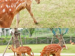 -祥源·阜阳生态乐园