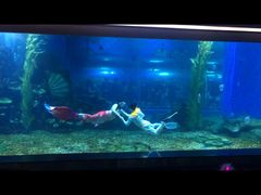 -顺德南宏海立方海洋公园