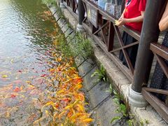 -武汉紫薇都市田园