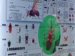 -上海大自然野生昆虫馆(东方明珠·爬宠昆虫探索中心)