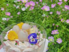 -卷心卷意·轻甜蛋糕(新光天地店)