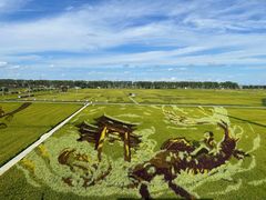 -稻梦空间冰雪小镇