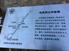 -北京鹫峰国家森林公园
