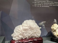 -湖南省地质博物馆