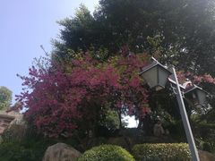 -乌山风景区