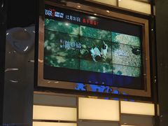 -万达影城(廊坊万达广场激光IMAX店)