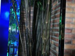 -观唐足道SPA养生会馆(南湖店)