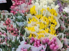 -循礼门鲜花花市(武汉循礼门店)