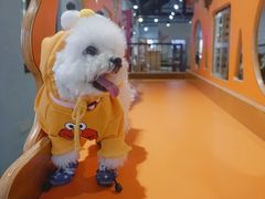 -太阳岛度假酒店