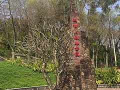 -王借岗森林公园