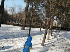 -长春公园(普阳街道)