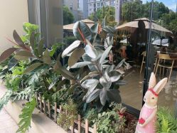 -金芙美月子中心(财富别墅店)