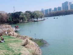 -昆山城市生态森林公园