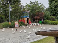 -江门古劳水乡旅游区