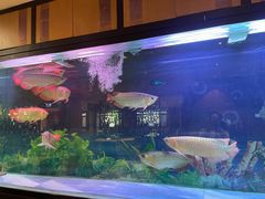 -弘安丽水温泉酒店