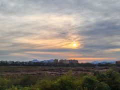 -绿堤公园