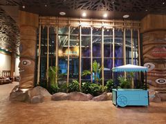 -杭州开元森泊度假乐园