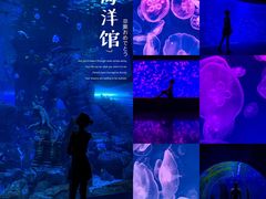 -波塞冬旅游度假区