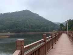 -桃花岭景区