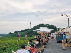 -侘山民宿(杭州西湖龙坞店)
