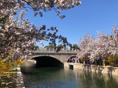 -懂羊帝·羊蝎子·北京菜(小关店)