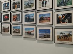 -罗红摄影艺术馆